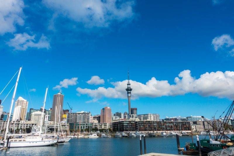 Blick auf den Hafen in Auckland