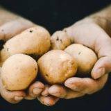 Wie du Kartoffeln mit der Mikrowelle kochst