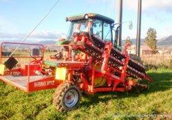 Traktor mit Lifter um Bäume auszugraben