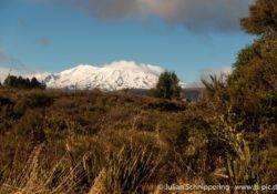 Schneebedeckte Berge