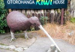 Kiwi Statue aus Beton