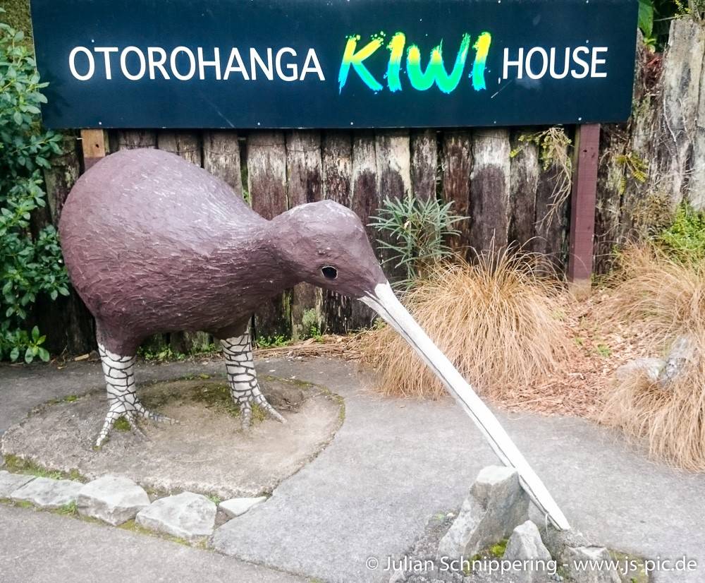 Kiwi Statue aus Beton