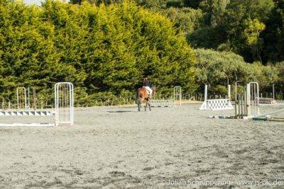 Person mit Pferd auf Reitplatz