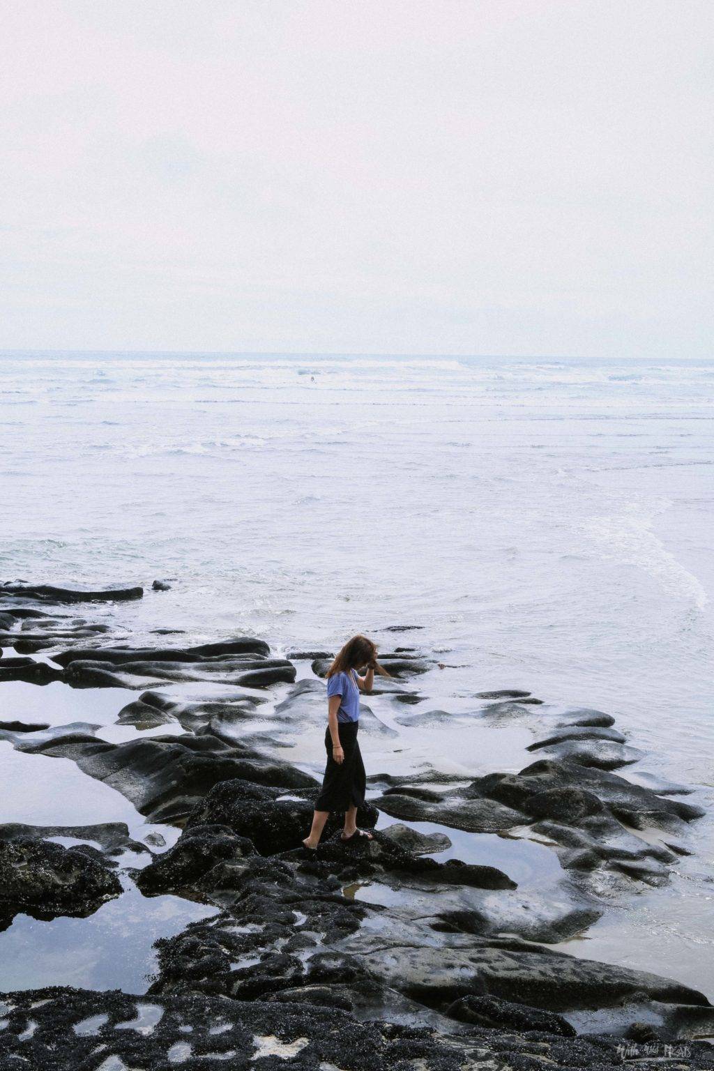 Unsere Highlights in der Tasman Region 2024