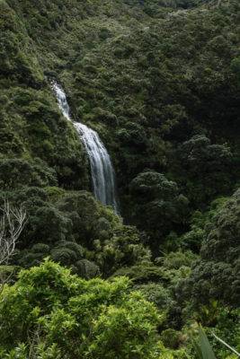 Wasserfall bahnt sich den Weg durch das grüne