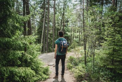 Wanderer steht im grünen Wald