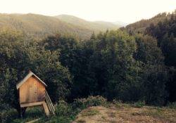 Hütte im Wald