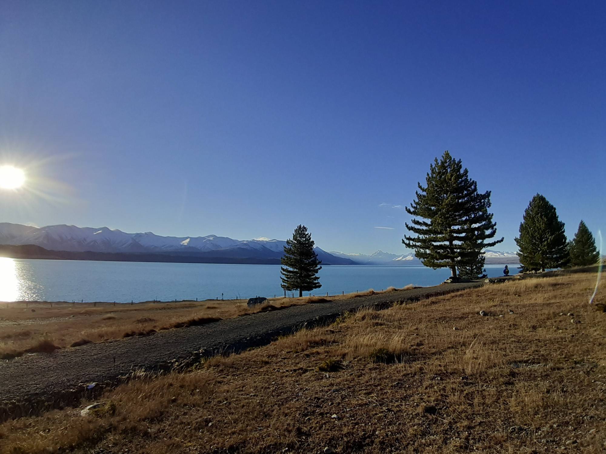 Die Aussicht auf Lake Pukaki