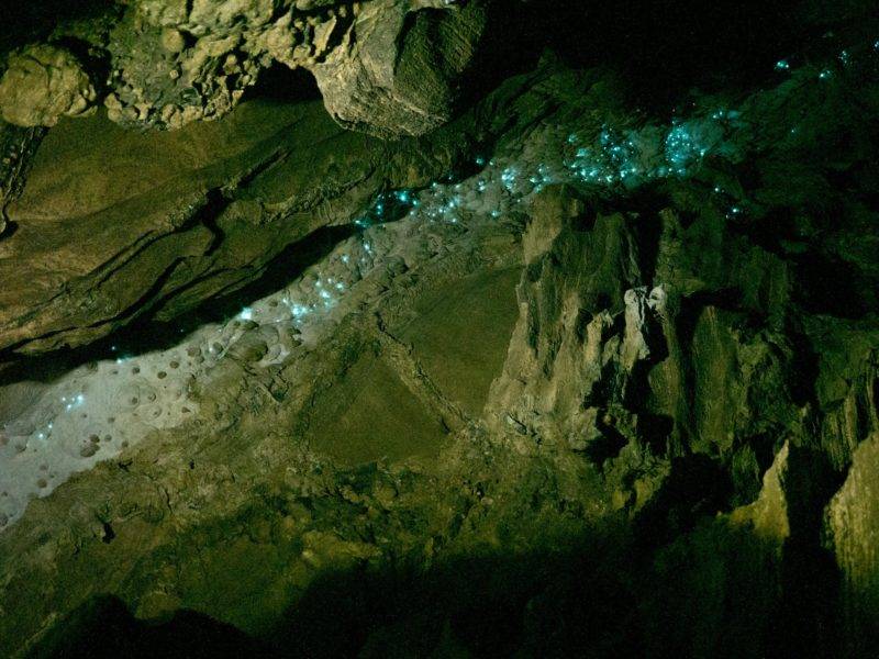 Glühwürmchen in der Abbey Cave