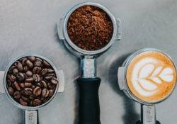 Ansicht von rohen, gemahlenen und zubereiteten Kaffee Bohnen in Neuseeland