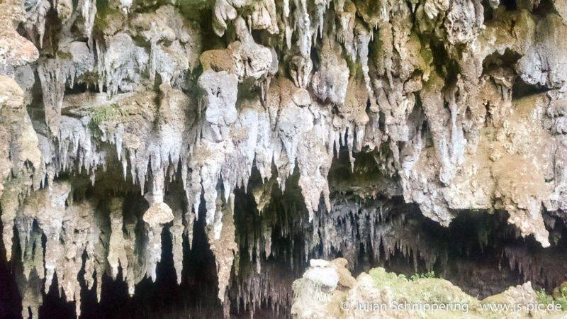 Die beeindruckende Rawhiti Cave