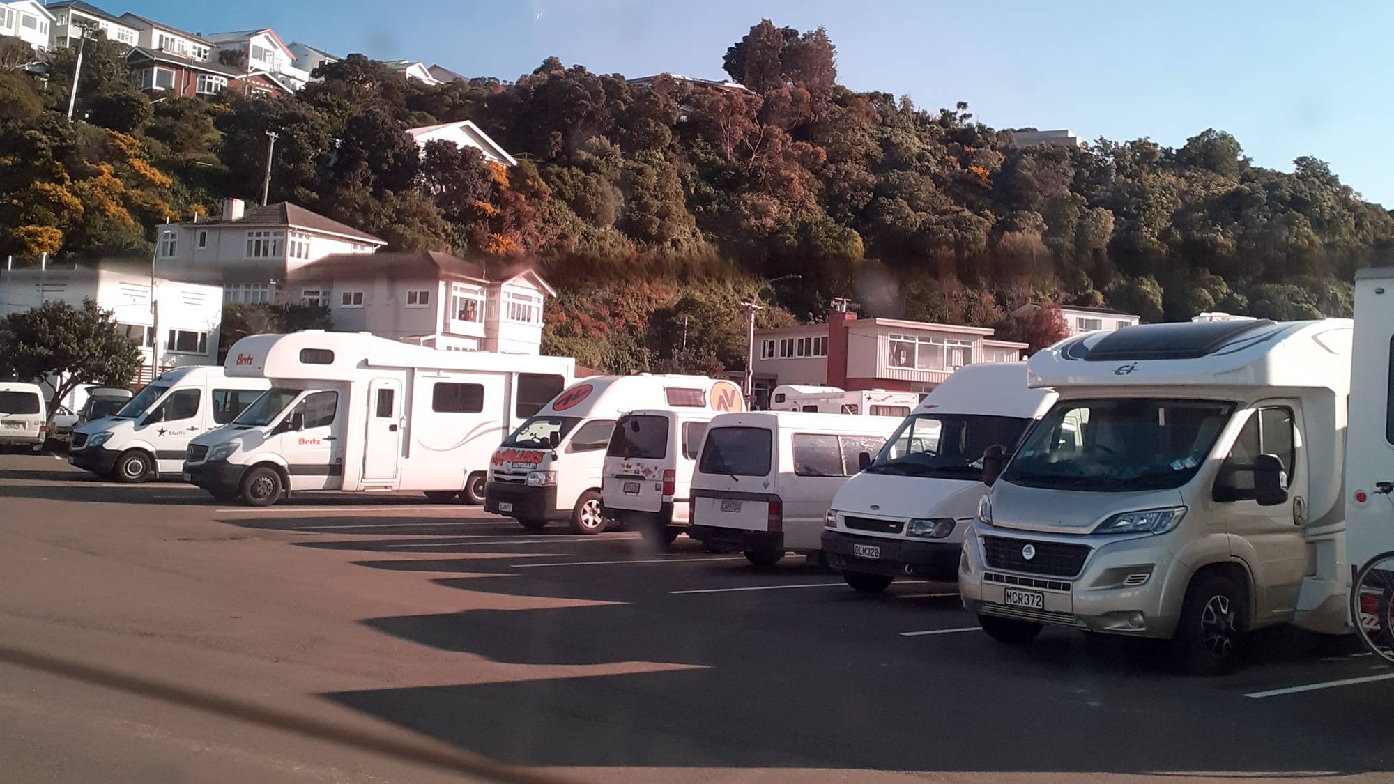 Evans Bay Marina Freedom Camp