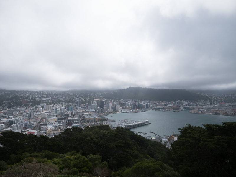 Aussicht vom Mount Victoria auf Wellington