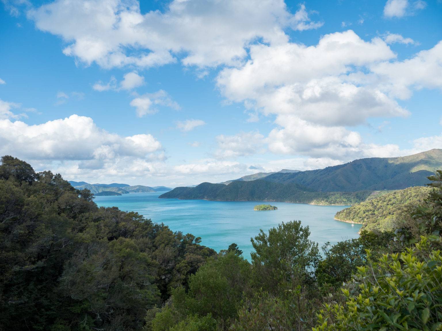 Unsere Highlights in der Marlborough Region Neuseeland 2025