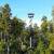 Aussicht auf Bäume und den Aussichtsturm im Tree Top Walk in Hokitika