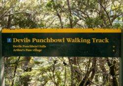 Wegweiser zum Devils Punchbowl Walking Track der zum Wasserfall zeigt