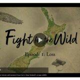 Fight for the Wild Neuseeland (Vorschaubild von Episode 1)