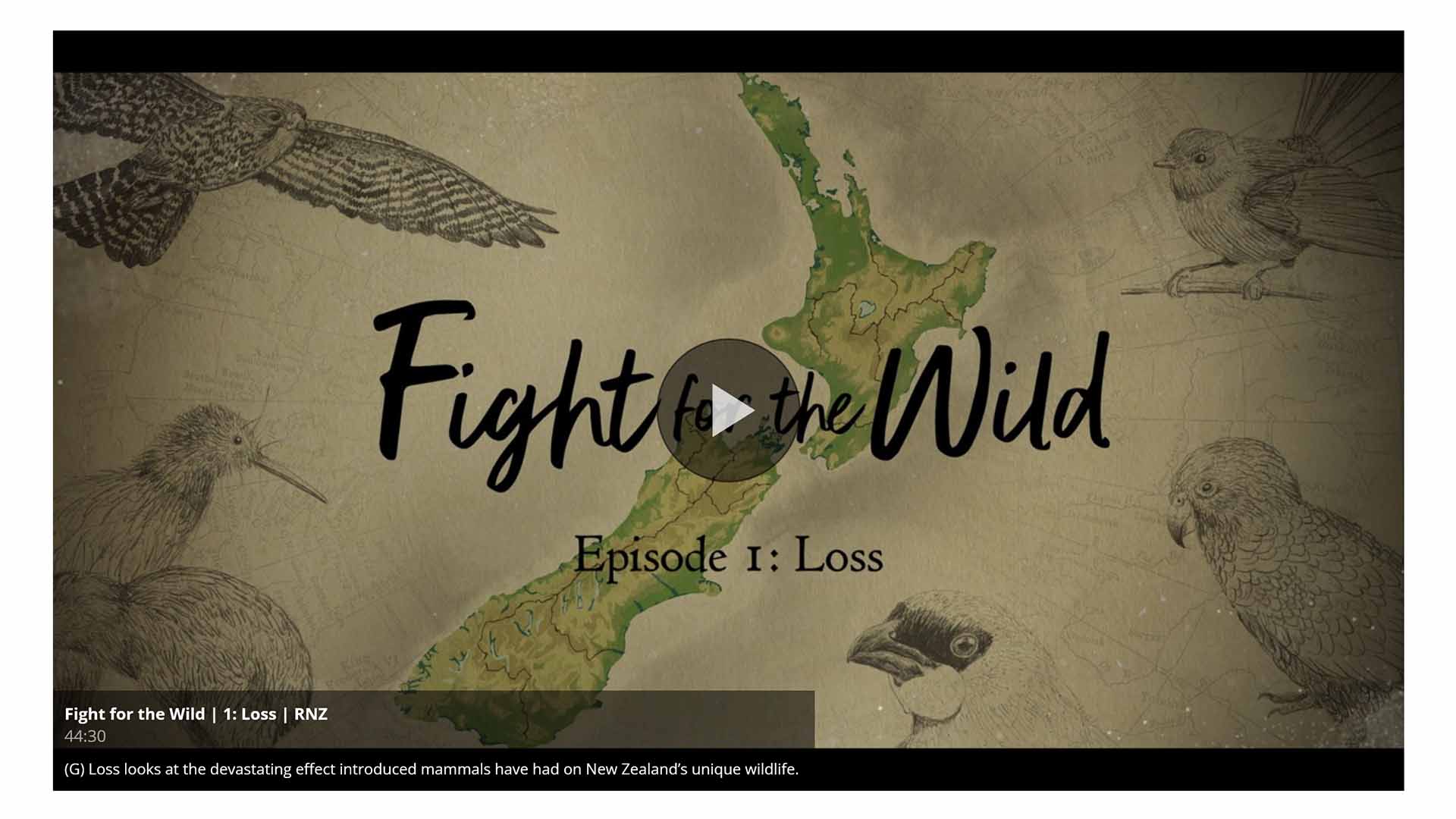 Fight for the Wild – Neuseelands Kampf gegen eingeschleppte Tierarten