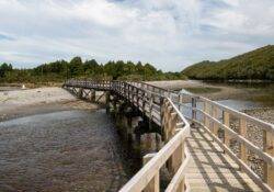 Gillespies Beach Walks Lagoon Bridge
