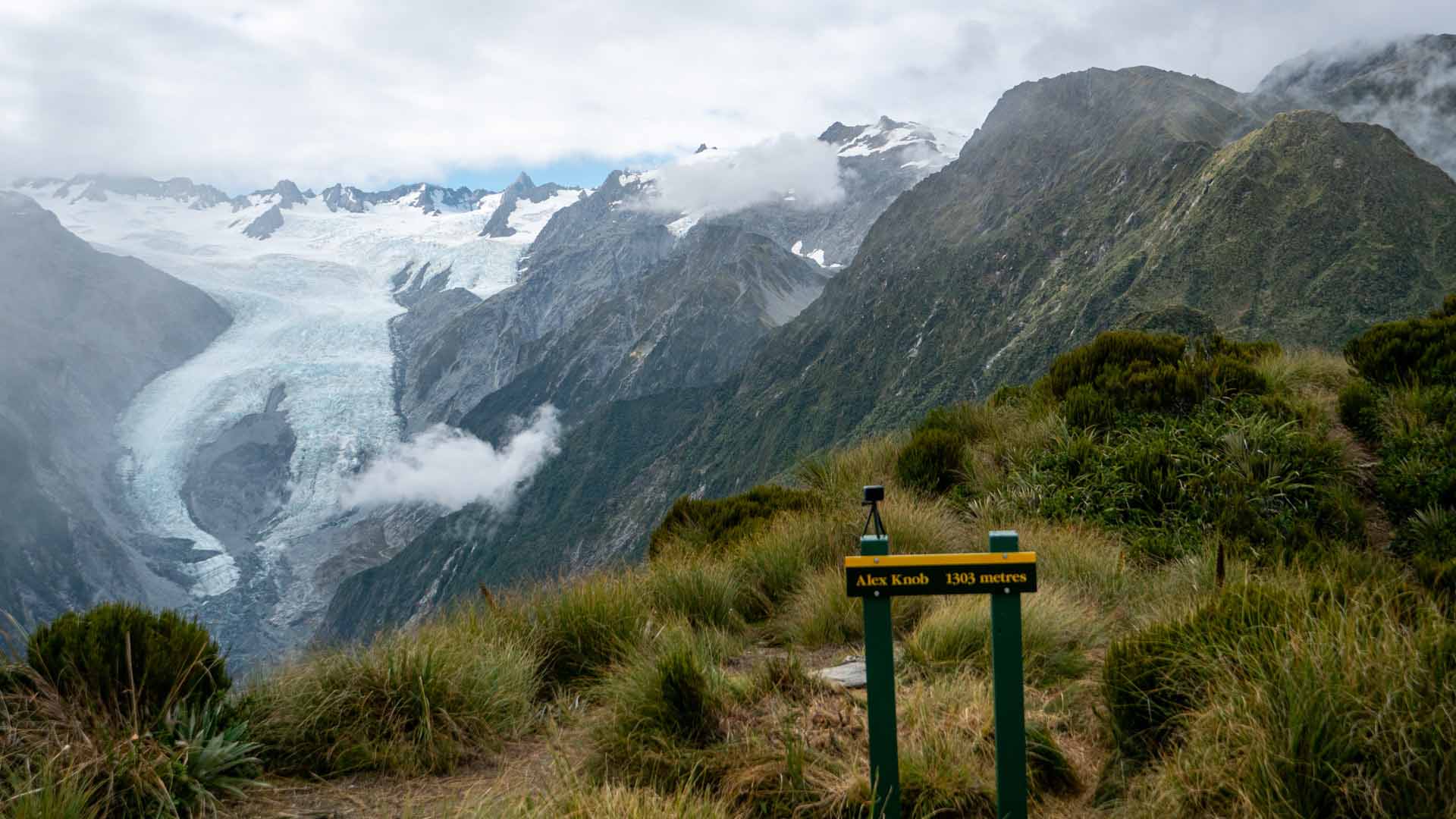 Sicht auf den Franz Josef Gletscher von Alex Knobb