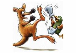 Känguru und Vogel mit Boxhandschuhen