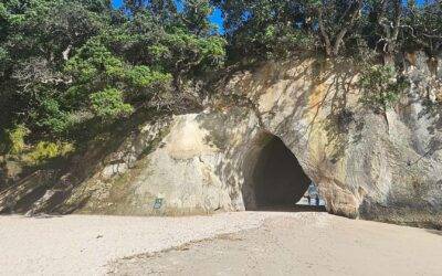 Alles wichtige zur Cathedral Cove (Mautohe) Wanderung